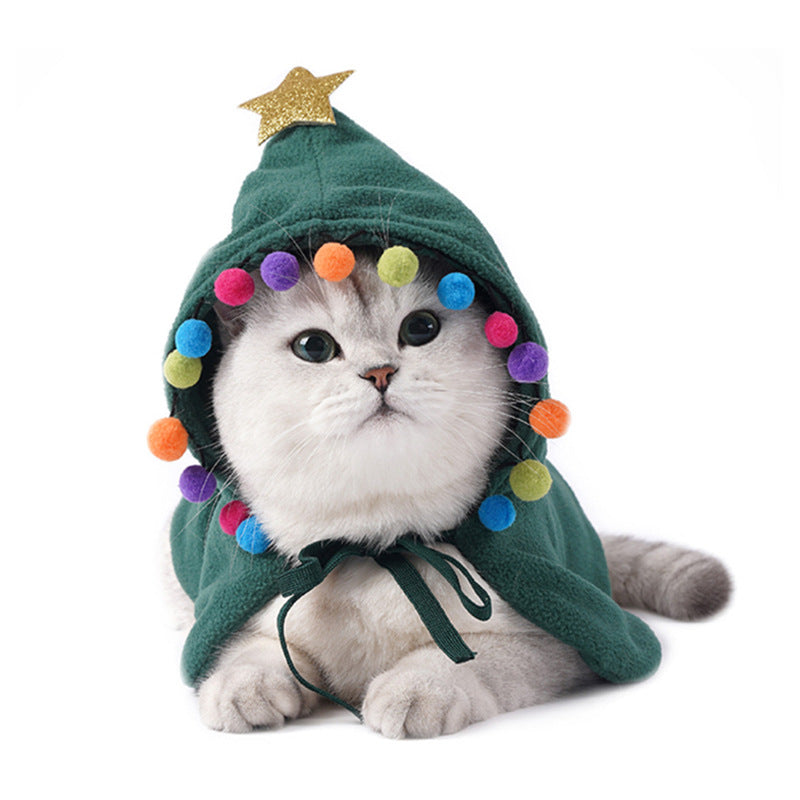 Cat wearing a green hooded festive cloak with a gold star and multicolour pom-poms