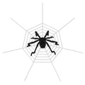 Black spider decoration with a white web.