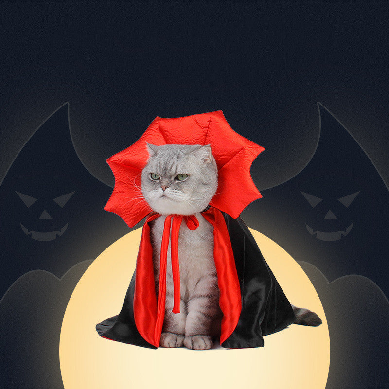 Grey cat wearing a black-and-red vampire cape with a tall red collar and tied red bow.