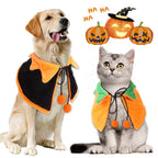 Dog and cat wearing orange and black pumpkin pet cloaks with pom-pom ties