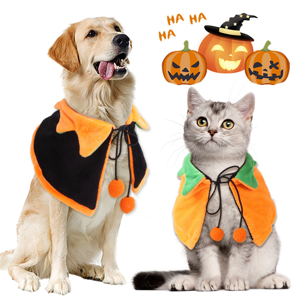 Dog and cat wearing orange and black pumpkin pet cloaks with pom-pom ties