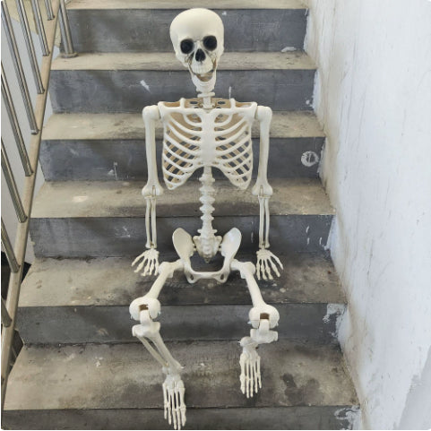 White full-body skeleton decoration seated on concrete steps, with its skull, ribcage, arms, legs and feet visible.