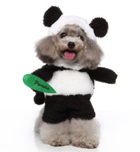 Dog wearing the black-and-white Panda costume